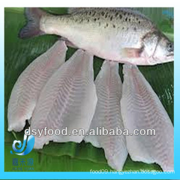 supply processed fresh seabass fillet